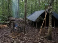 Ilustrasi pondok terpal di hutan dengan para-para asap, tombak bersandar, dan anjing rebah