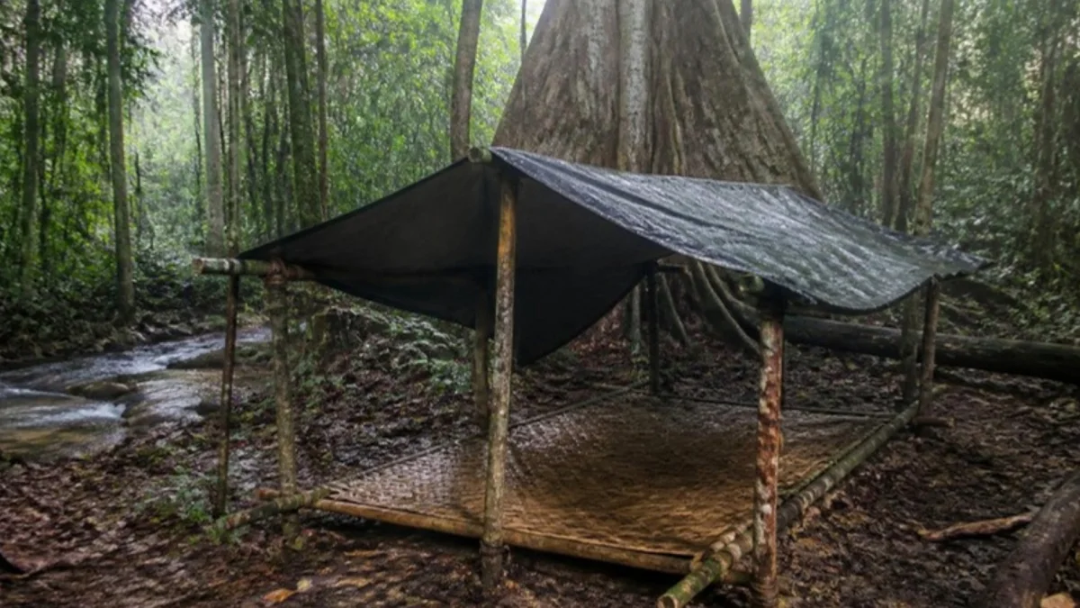 Ilustrasi pondok kayu beratap terpal berlantai anyaman di hutan hujan dekat sungai kecil