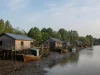 Ilustrasi deretan rumah panggung kayu dan perahu nelayan di muara berlumpur berlatar bakau