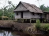 Ilustrasi rumah panggung kayu beratap rumbia di tepi kanal gambut dengan perahu tertambat