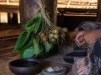 Ilustrasi seikat sirih pinang di tiang kayu, mangkuk air, dan tangan lelaki berkain tenun