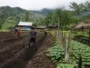 Ilustrasi tiga warga mencangkul bedeng tanah hitam di samping kebun dan bukit berhutan berkabut