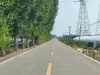 Jalan desa beraspal diapit pohon poplar dan rumah kaca di Kabupaten Dongping, Shandong, Tiongkok