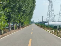 Jalan desa beraspal diapit pohon poplar dan rumah kaca di Kabupaten Dongping, Shandong, Tiongkok