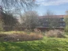 Ilustrasi ruang hijau dan deret rumah bata di lingkungan Oosterparkwijk, Groningen, Belanda