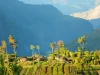 Beberapa honai beratap jerami di punggung bukit kawasan Wamena, Lembah Baliem, Papua