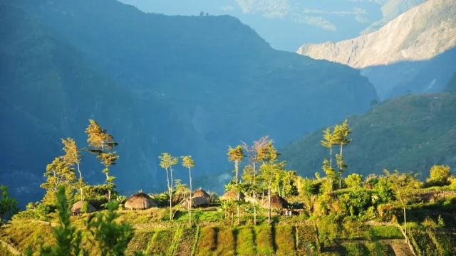 Beberapa honai beratap jerami di punggung bukit kawasan Wamena, Lembah Baliem, Papua