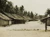 Ilustrasi foto arsip deretan rumah beratap daun di kampung Marind-Anim, pantai dekat Merauke