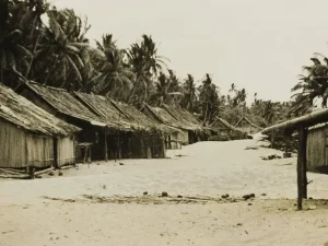 Ilustrasi foto arsip deretan rumah beratap daun di kampung Marind-Anim, pantai dekat Merauke
