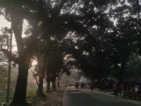 Jalan kampus University of Chittagong, Bangladesh, dinaungi pohon-pohon besar saat matahari rendah