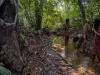 Ilustrasi warga Suku Anak Dalam di aliran sungai hutan Taman Nasional Bukit Duabelas, Jambi