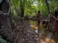 Ilustrasi warga Suku Anak Dalam di aliran sungai hutan Taman Nasional Bukit Duabelas, Jambi