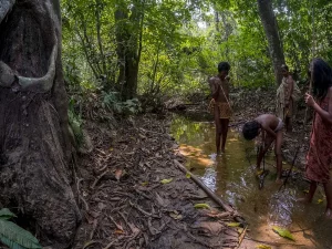 Ilustrasi warga Suku Anak Dalam di aliran sungai hutan Taman Nasional Bukit Duabelas, Jambi