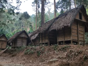 Deretan leuit beratap ijuk di tepi hutan Kampung Gajeboh, Baduy Luar, Lebak, Banten