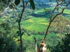 Ilustrasi sawah lingko berpetak jaring laba-laba di Lingko Wae Mata, Nampar Macing, Flores