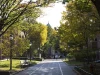 Ilustrasi jalan setapak berpohon rindang di kampus University of Pennsylvania, Philadelphia, Amerika Serikat