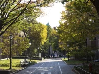 Ilustrasi jalan setapak berpohon rindang di kampus University of Pennsylvania, Philadelphia, Amerika Serikat