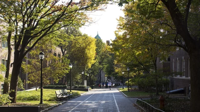 Ilustrasi jalan setapak berpohon rindang di kampus University of Pennsylvania, Philadelphia, Amerika Serikat