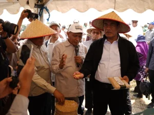 Menteri Pertanian Andi Amran Sulaiman meninjau benih di Pusat Inovasi Agroteknologi UGM, Sleman