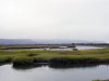 Alur air tenang di muara Sungai Tijuana di antara rawa berumput, San Diego, California