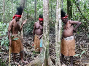 Ilustrasi: tiga laki-laki Kamoro di hutan bakau saat mencari kayu ukiran mbitoro, Mimika, Papua