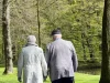 Ilustrasi sepasang lansia bergandengan tangan berjalan di jalur taman tepi kolam, Nordkirchen, Jerman