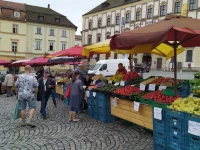 Ilustrasi warga berbelanja sayur dan buah di pasar Zelný trh, Brno, Ceko