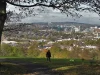 Ilustrasi seorang pejalan kaki di lereng berumput Taman Meersbrook dengan panorama kota Sheffield, Inggris