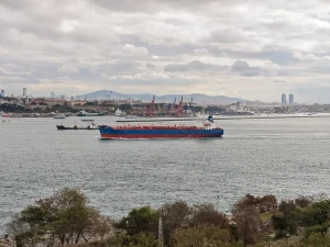 Kapal kargo melintas di depan derek peti kemas Pelabuhan Haydarpasa, Istanbul, Turki