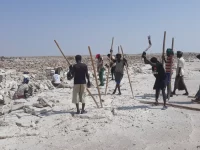 Para pekerja Afar mencungkil dan menumpuk balok garam di dataran garam wilayah Afar, Etiopia