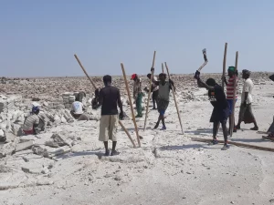 Para pekerja Afar mencungkil dan menumpuk balok garam di dataran garam wilayah Afar, Etiopia