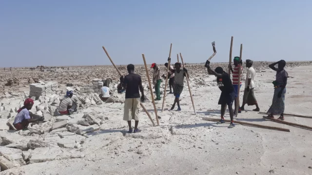 Para pekerja Afar mencungkil dan menumpuk balok garam di dataran garam wilayah Afar, Etiopia