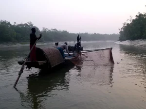Ilustrasi nelayan di perahu kayu di sungai berhutan bakau, Harbaria, Sundarbans, Bangladesh