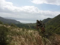 Perbukitan berhutan dan padang ilalang dengan teluk di kejauhan di Piru, Seram Bagian Barat