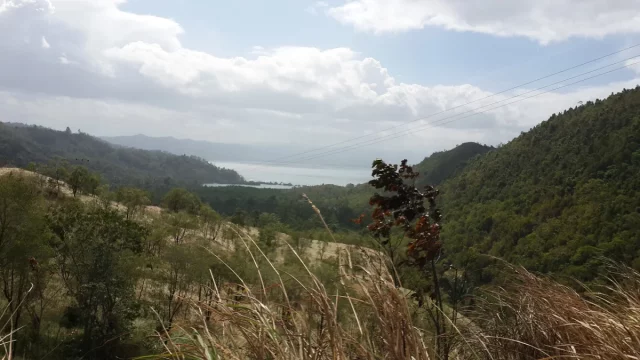 Perbukitan berhutan dan padang ilalang dengan teluk di kejauhan di Piru, Seram Bagian Barat