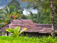Ilustrasi rumah beratap daun di kampung Manusela, kawasan Taman Nasional Manusela, Pulau Seram