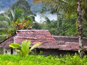 Ilustrasi rumah beratap daun di kampung Manusela, kawasan Taman Nasional Manusela, Pulau Seram