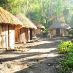 Ilustrasi deretan rumah honai berdinding kayu dan beratap jerami di tepi jalan tanah kampung, Papua