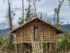 Rumah kaki seribu Mod Aki Aksa, rumah adat suku Arfak di Papua Barat