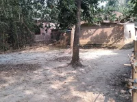 Halaman rumah perdesaan berdinding lumpur dan berpagar bambu di Bangladesh