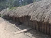 Ilustrasi deretan rumah tradisional suku Dani beratap jerami di dekat Wamena, Lembah Baliem, Papua