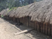 Ilustrasi deretan rumah tradisional suku Dani beratap jerami di dekat Wamena, Lembah Baliem, Papua