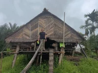 Ilustrasi uma, rumah panggung tradisional Mentawai beratap daun, di Pulau Siberut, Kepulauan Mentawai, Sumatera Barat