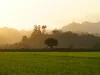 Hamparan sawah dan perbukitan berkabut saat senja di Kabupaten Parigi Moutong, Sulawesi Tengah