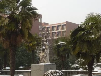 Taman kampus Anhui University di Hefei, Tiongkok, pada hari bersalju dengan pohon palem