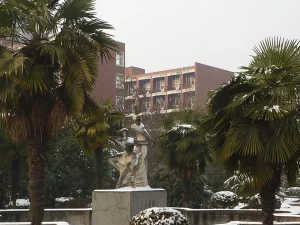 Taman kampus Anhui University di Hefei, Tiongkok, pada hari bersalju dengan pohon palem