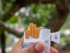 Ilustrasi tangan memegang bungkus rokok putih terbuka dengan beberapa batang menyembul, latar dedaunan buram