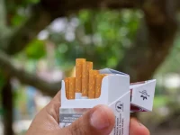 Ilustrasi tangan memegang bungkus rokok putih terbuka dengan beberapa batang menyembul, latar dedaunan buram