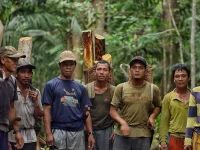 Ilustrasi tujuh laki-laki warga Sungai Utik berdiri di hutan adat, Kapuas Hulu, Kalimantan Barat