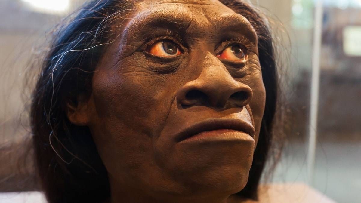 Manusia Purba Flores